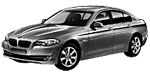 BMW F10 P1A73 Fault Code